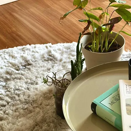N288 - Numana, Delizioso Trilocale Con Terrazzo Apartment